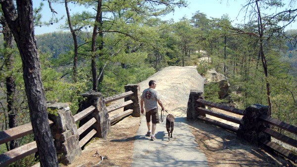 Hiking path at Sky Bridge with wooden railings