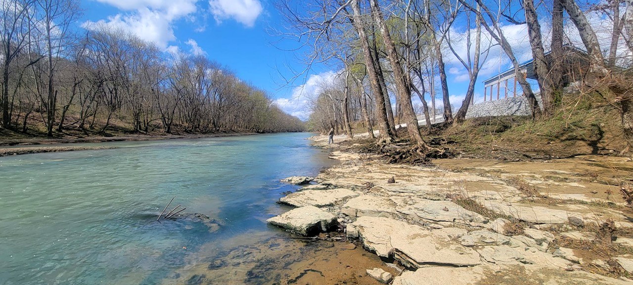 Green River bend with limestone shelf and tree roots